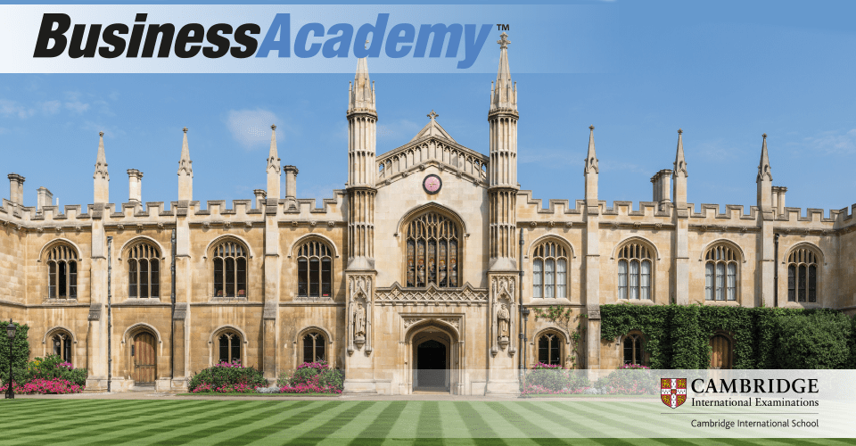 BusinessAcademy LINK group